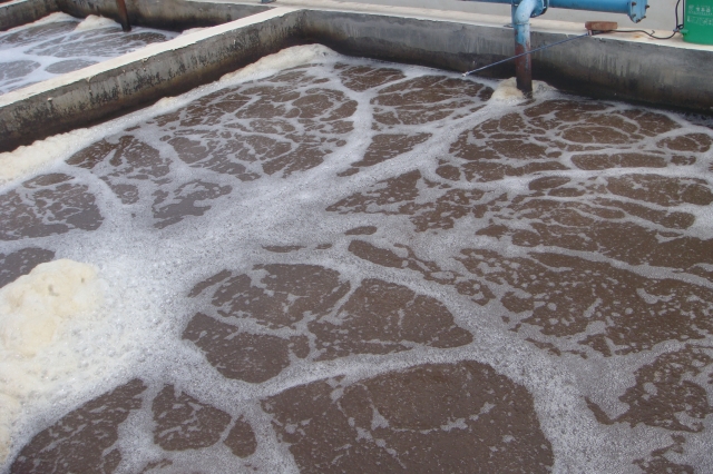 Shandong Shengxian Qingsheng Halal Food Wastewater Treatment Project